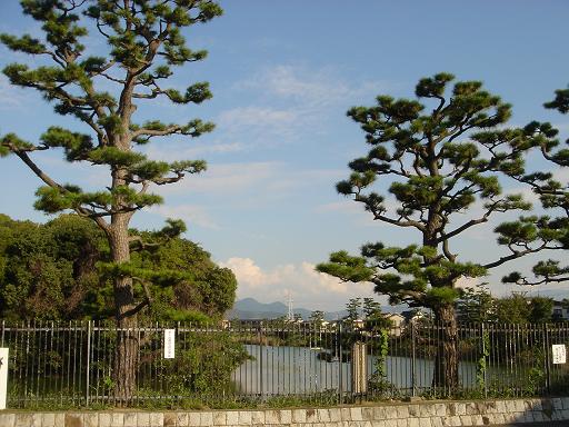 f0000521_3562029.jpg