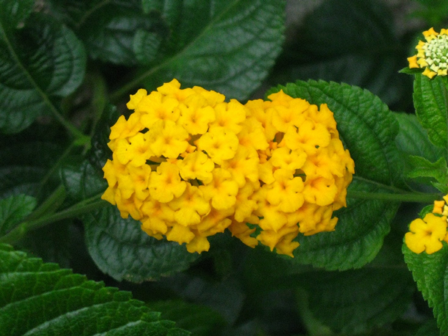 d0044222_0421637.jpg