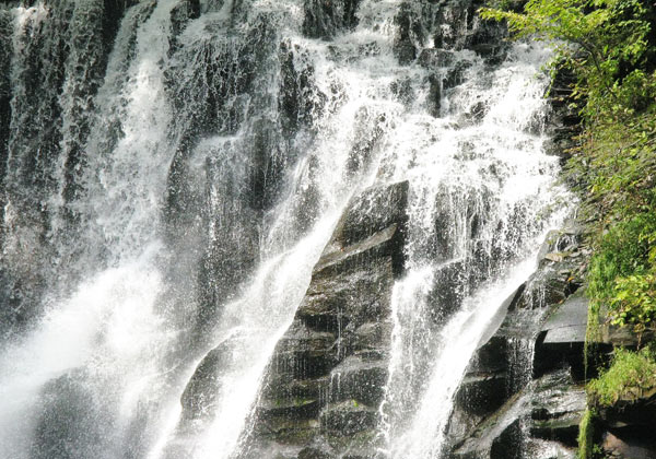 e0001123_21152345.jpg