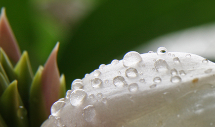 d0042827_23152433.jpg