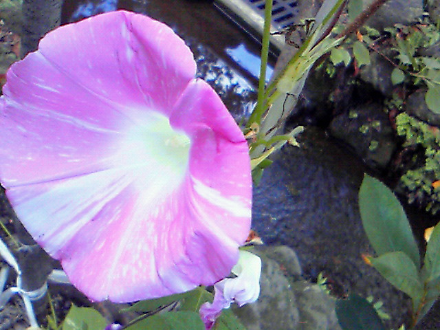 e0016828_12122654.jpg