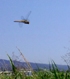 b0206534_20511563.jpg