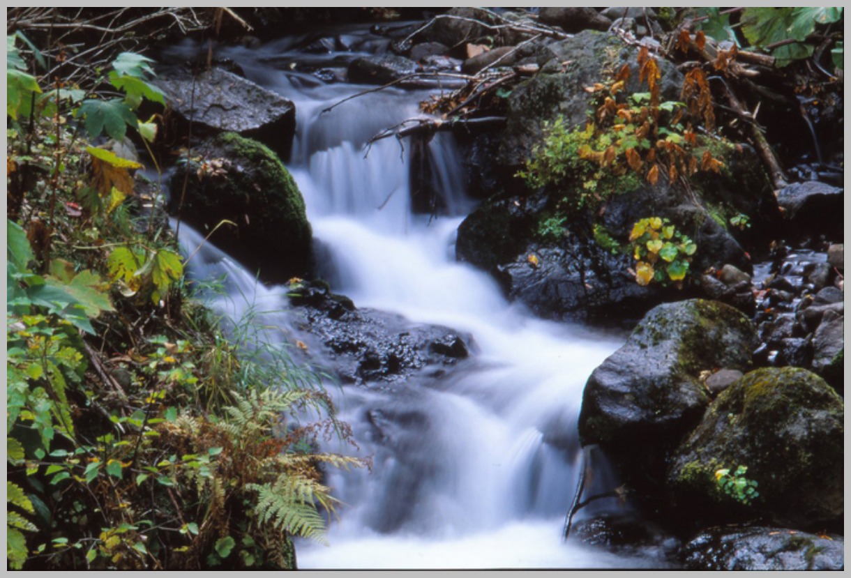 f0236843_3371762.jpg