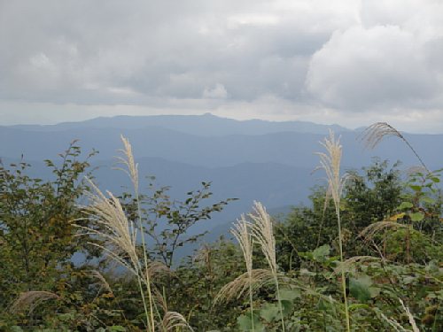 c0042847_17262483.jpg