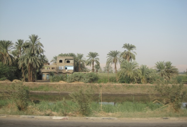 b0173754_22534450.jpg