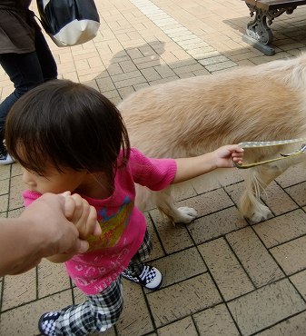 c0097558_1716151.jpg