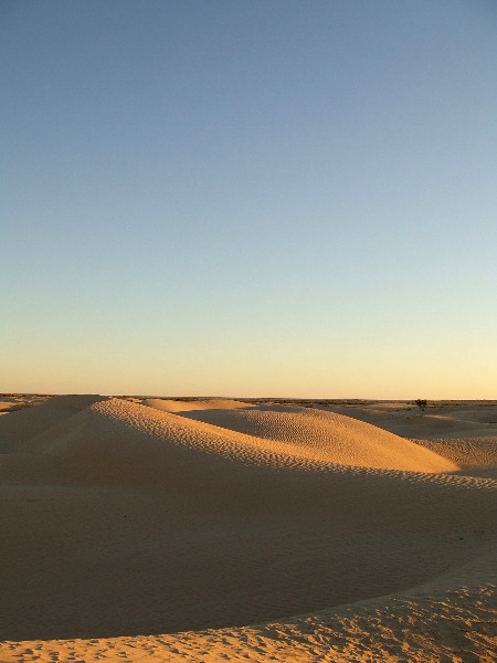 e0057760_041240.jpg