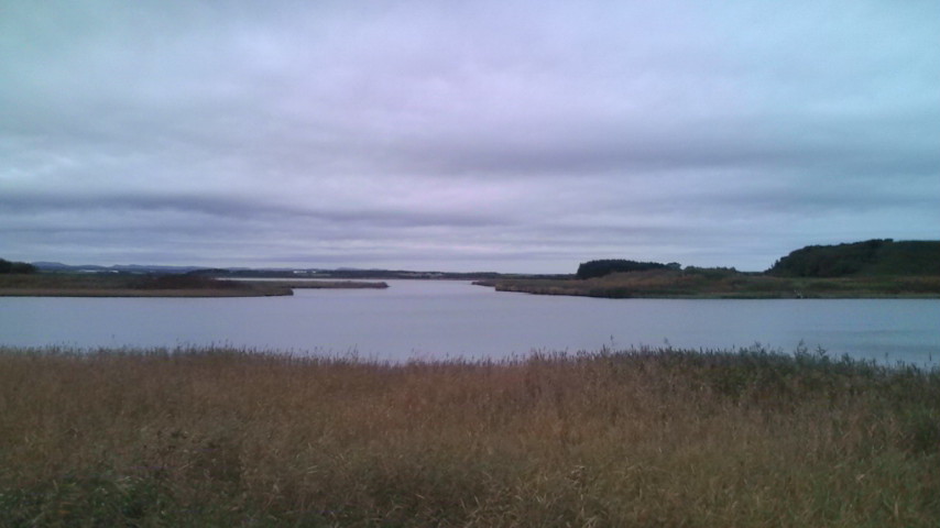d0018763_9575445.jpg