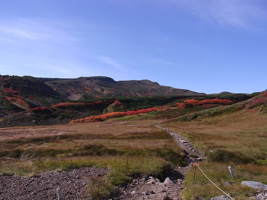 f0054366_1224279.jpg