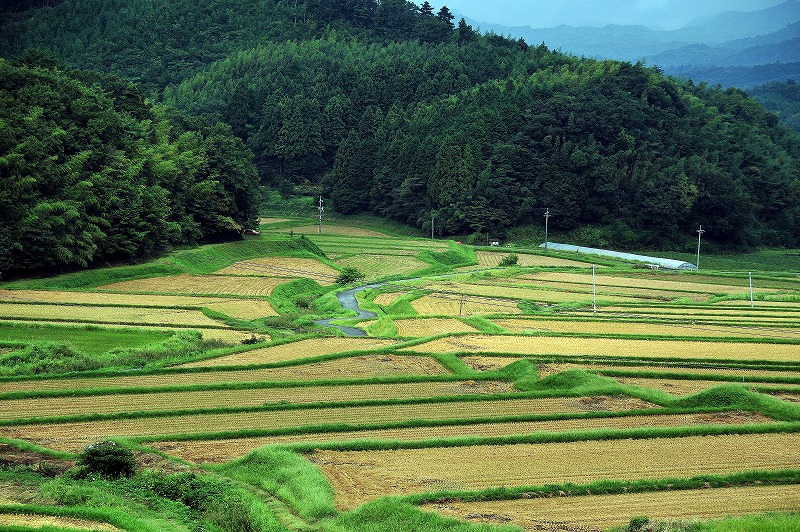 b0131167_21273428.jpg