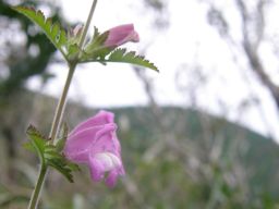 c0042869_657585.jpg
