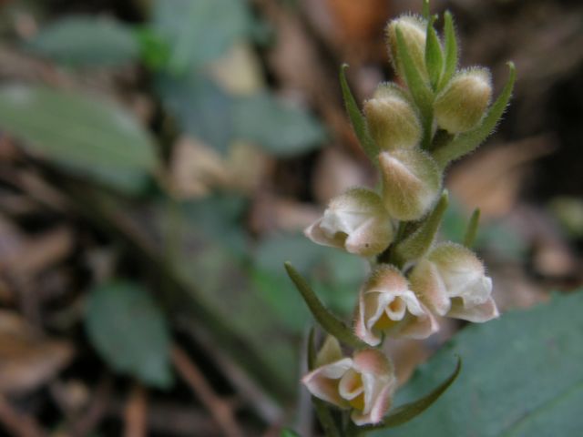 c0042869_7181992.jpg
