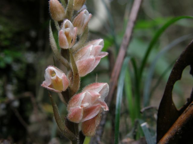 c0042869_7195222.jpg