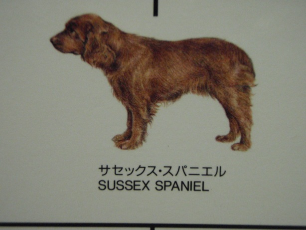 f0096569_105046.jpg