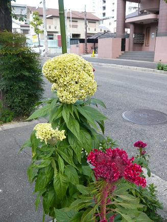 f0222692_21181241.jpg
