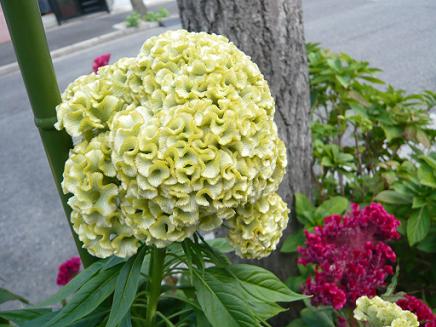 f0222692_21201272.jpg