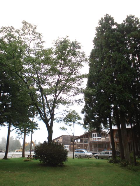 a0061599_7292380.jpg
