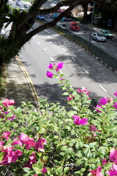 c0148705_012324.jpg