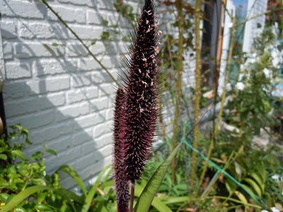 c0117007_22133793.jpg