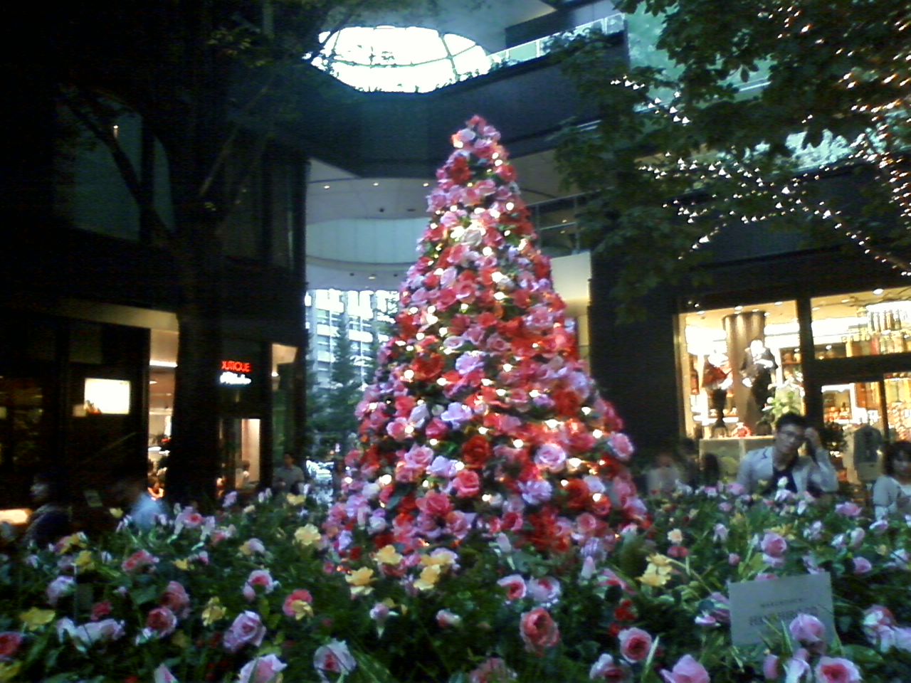 c0211507_17244127.jpg