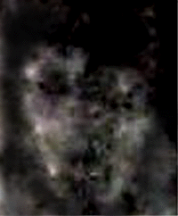 e0103408_1357468.gif