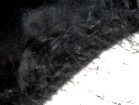 e0103408_1485986.gif