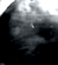 e0103408_1845371.gif