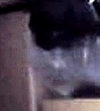 e0103408_18562930.gif