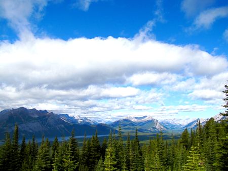 b0051109_11281630.jpg