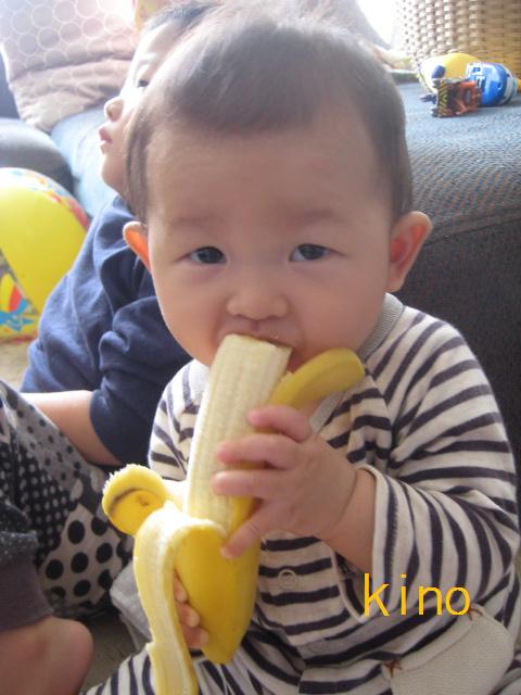 c0220112_1636231.jpg