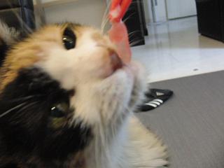 c0201113_22345571.jpg
