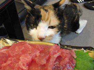 c0201113_2234956.jpg