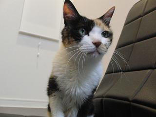 c0201113_22382677.jpg