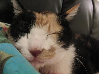c0201113_23561067.jpg