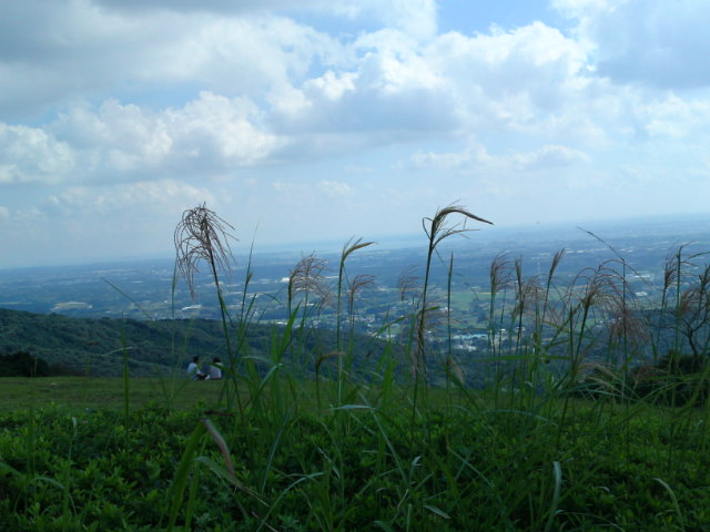 f0013519_1334099.jpg