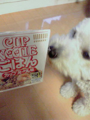 c0060920_11403536.jpg