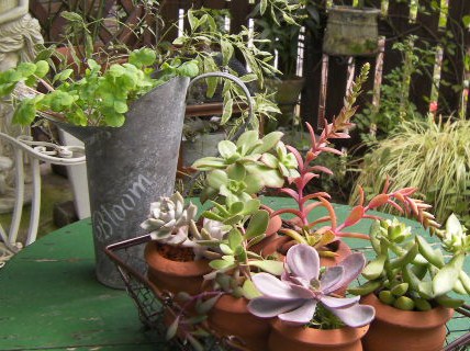 c0204121_11385242.jpg