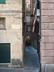 c0077533_452044.jpg