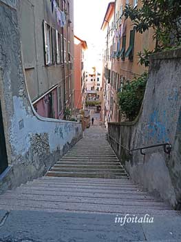 c0077533_5291339.jpg