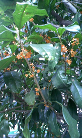 f0034334_2111450.jpg