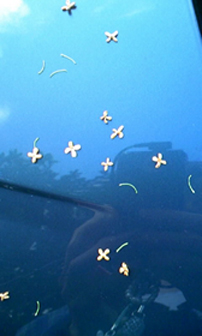 f0034334_2161890.jpg