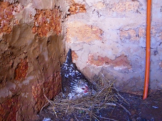 f0204737_261443.jpg