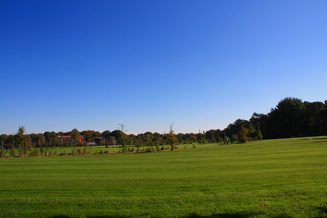 c0153740_1382041.jpg