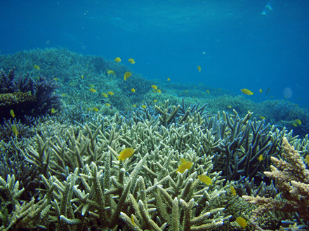 f0014842_21261211.jpg