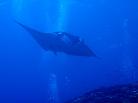 f0014842_21295421.jpg