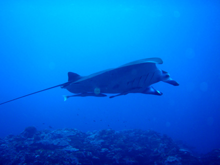 f0014842_2130385.jpg