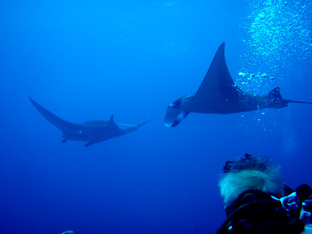f0014842_21305182.jpg