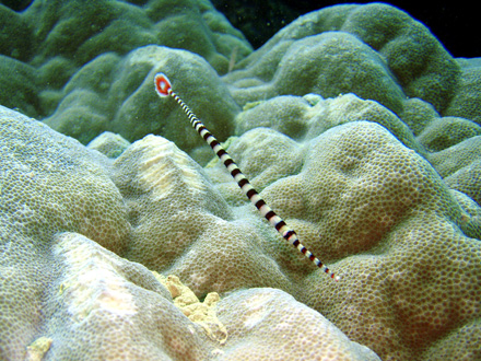 f0014842_21314834.jpg