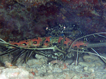 f0014842_21324260.jpg