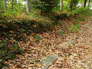 e0004756_8151849.jpg